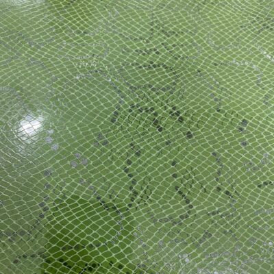 WhatsApp Image 2026-02-18 at 2.30.32 PM