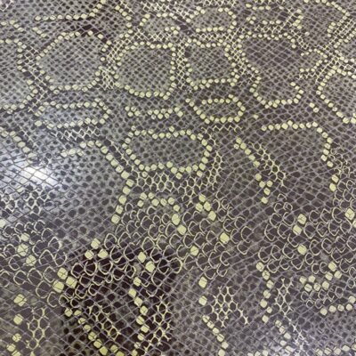 WhatsApp Image 2026-02-18 at 2.32.31 PM (1)